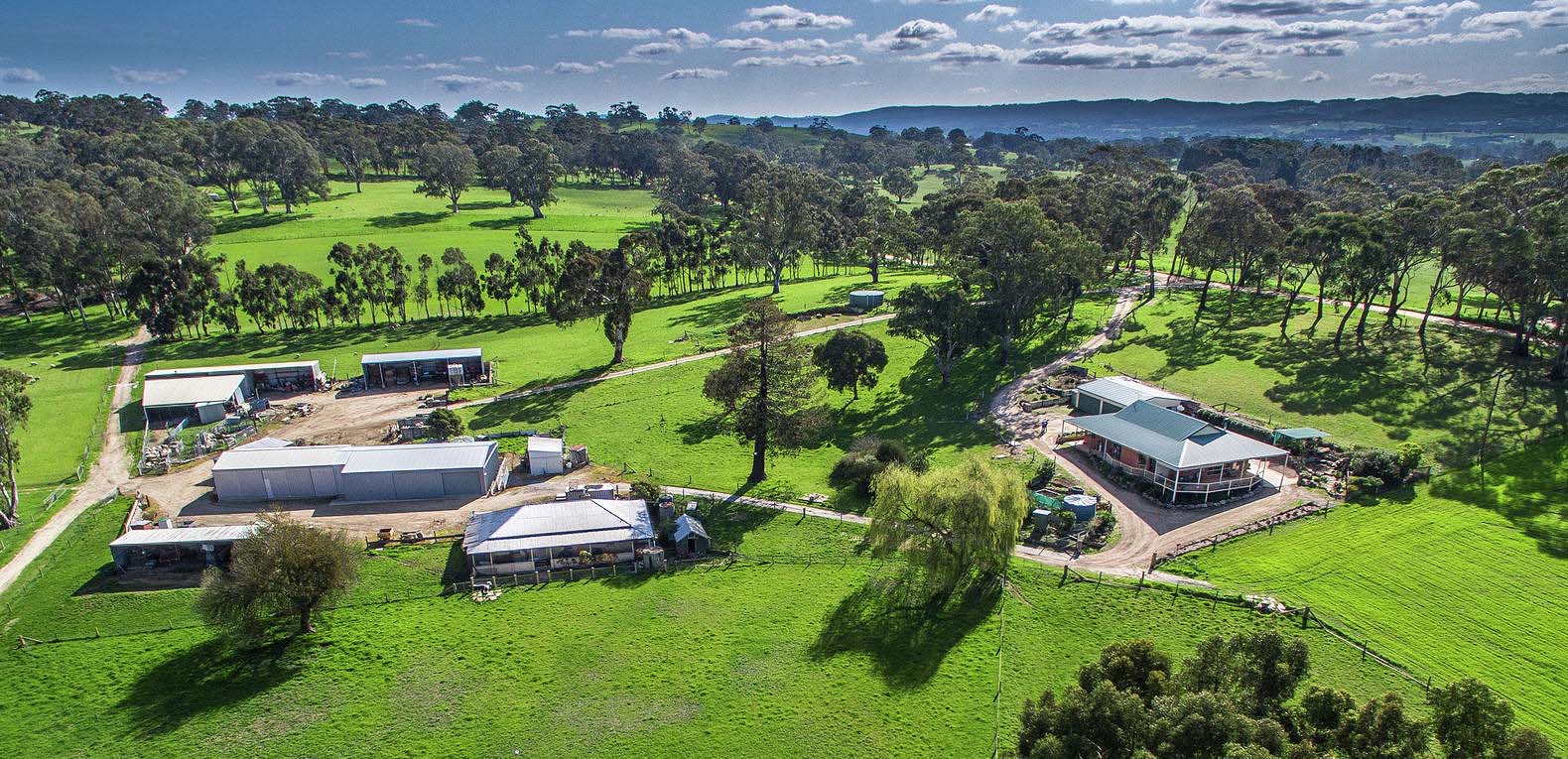 DeeAnne Hunt Lifestyle Property Adelaide Hills Real Estate Agent DeeAnne Hunt Lifestyle Property Adelaide Hills Real Estate Agent