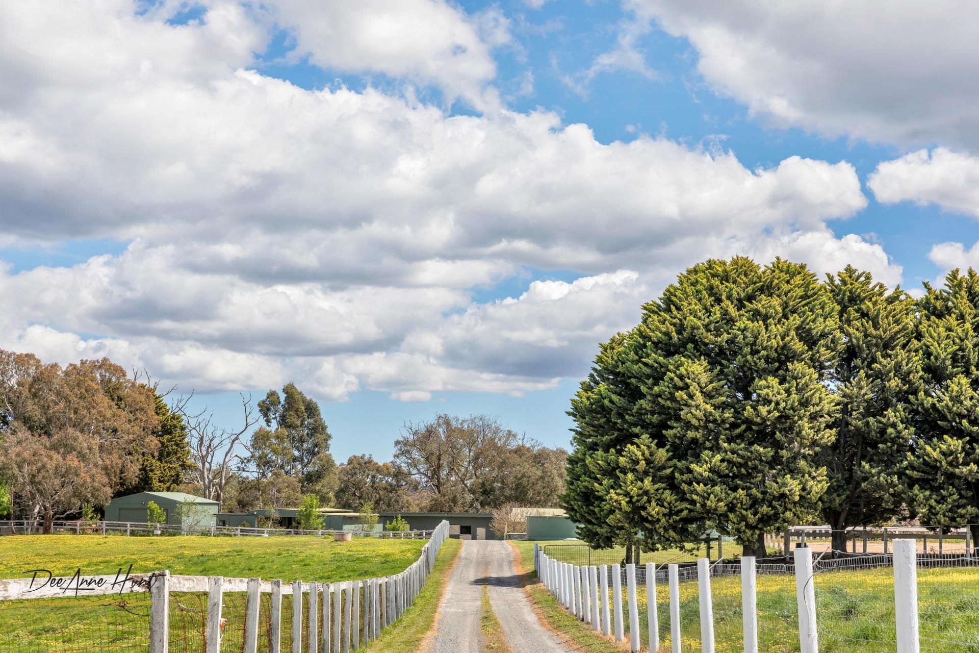 63 Hampton Road Biggs Flat DeeAnne Hunt