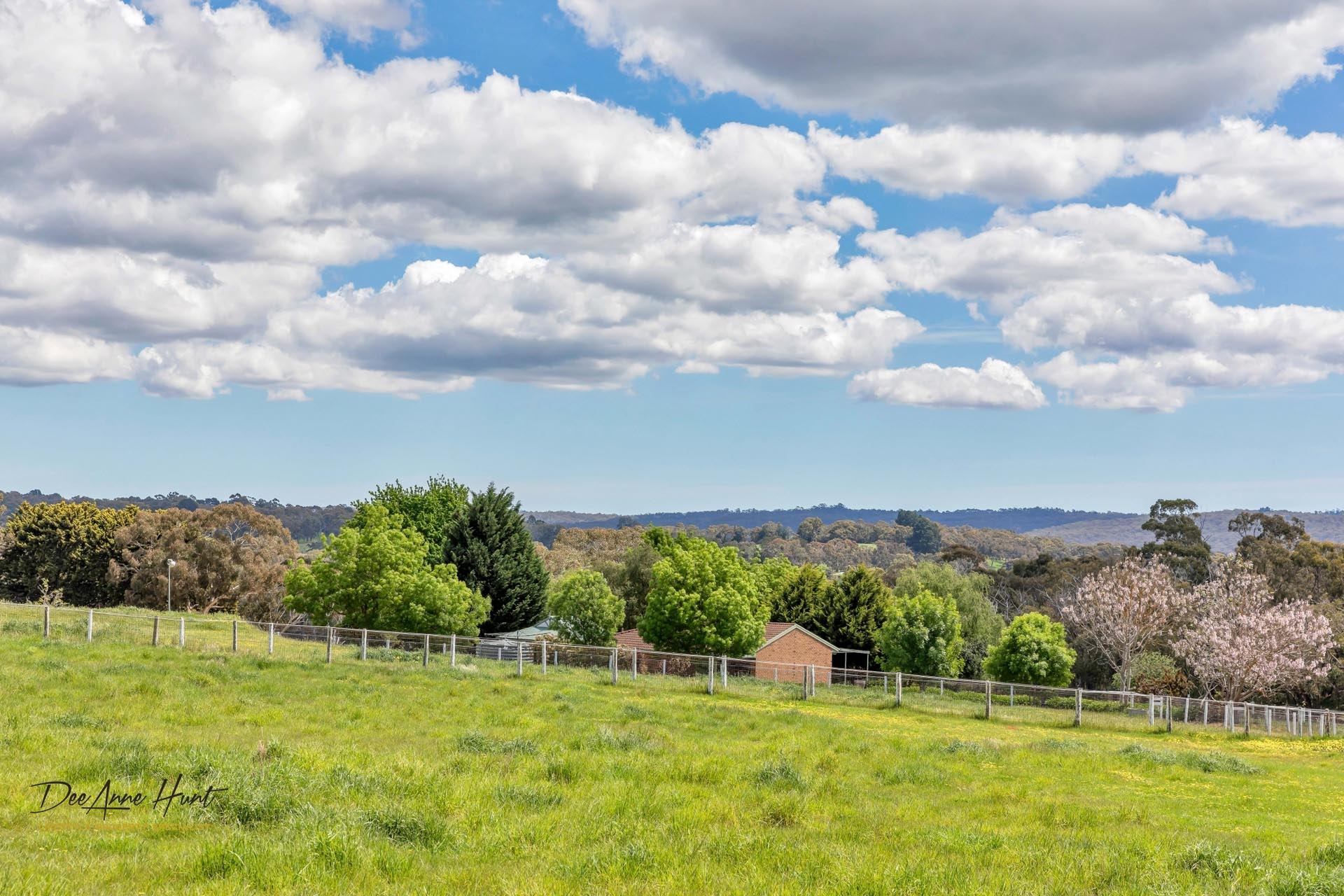 63 Hampton Road Biggs Flat DeeAnne Hunt