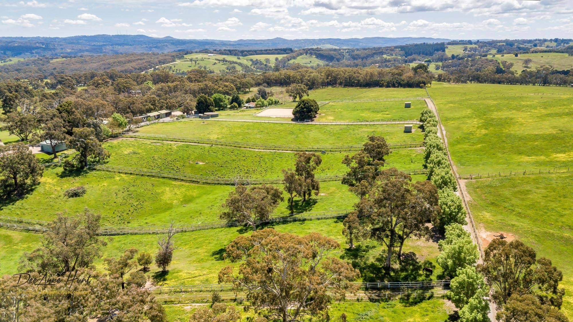 63 Hampton Road Biggs Flat DeeAnne Hunt