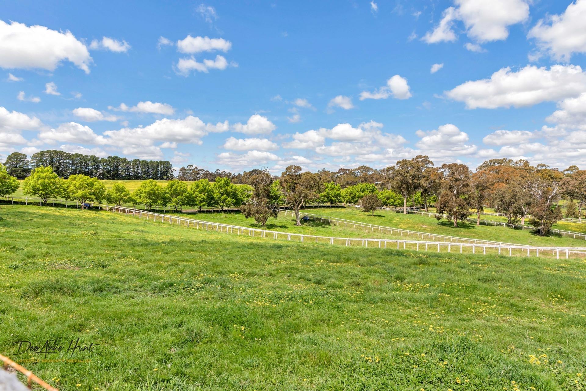 63 Hampton Road Biggs Flat DeeAnne Hunt