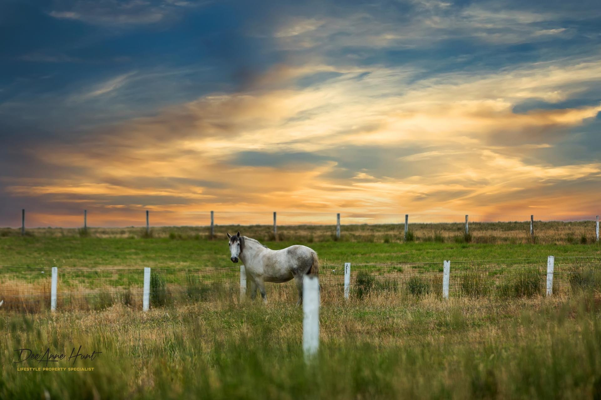 63 Hampton Road Biggs Flat DeeAnne Hunt