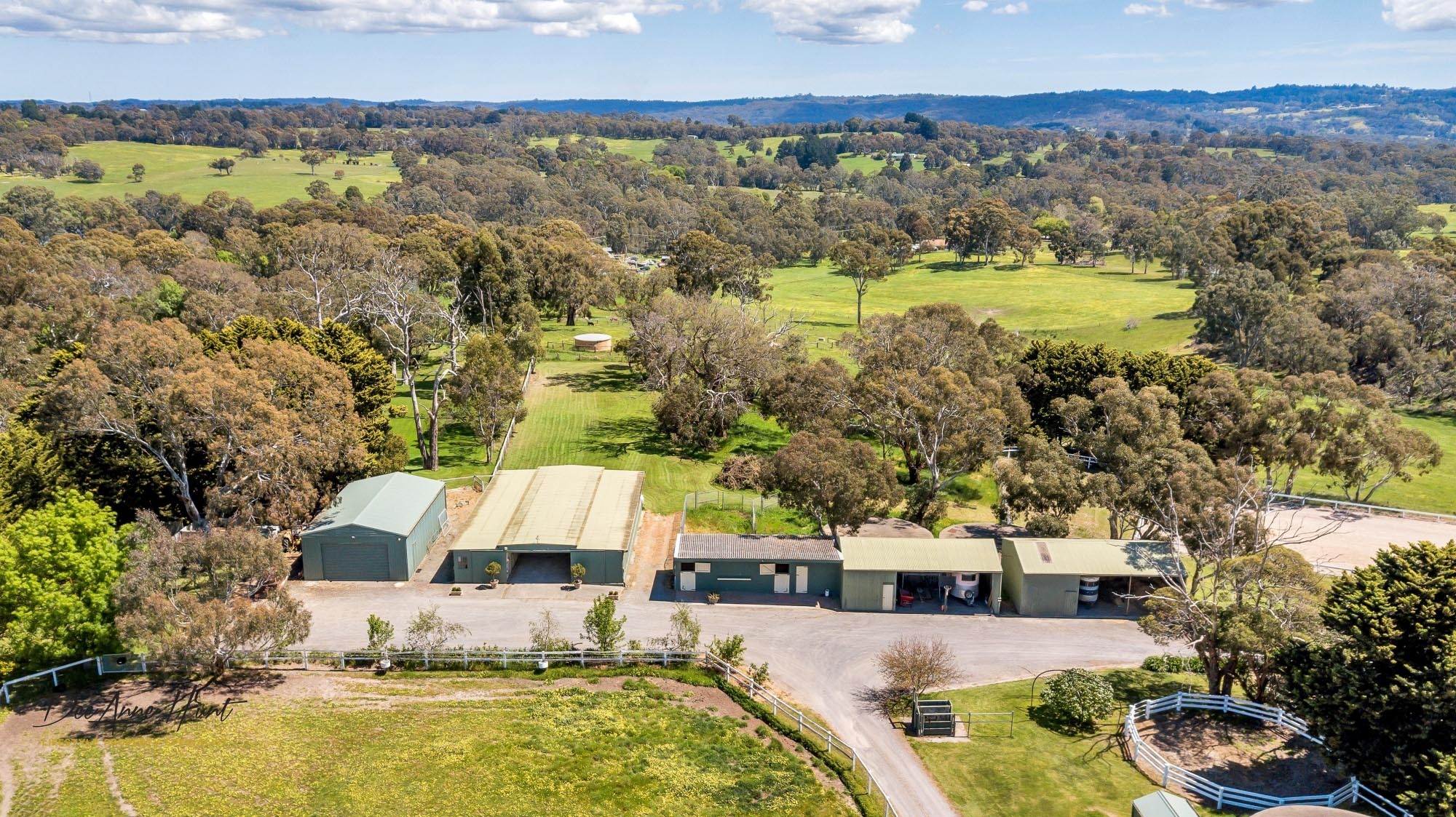 63 Hampton Road Biggs Flat DeeAnne Hunt