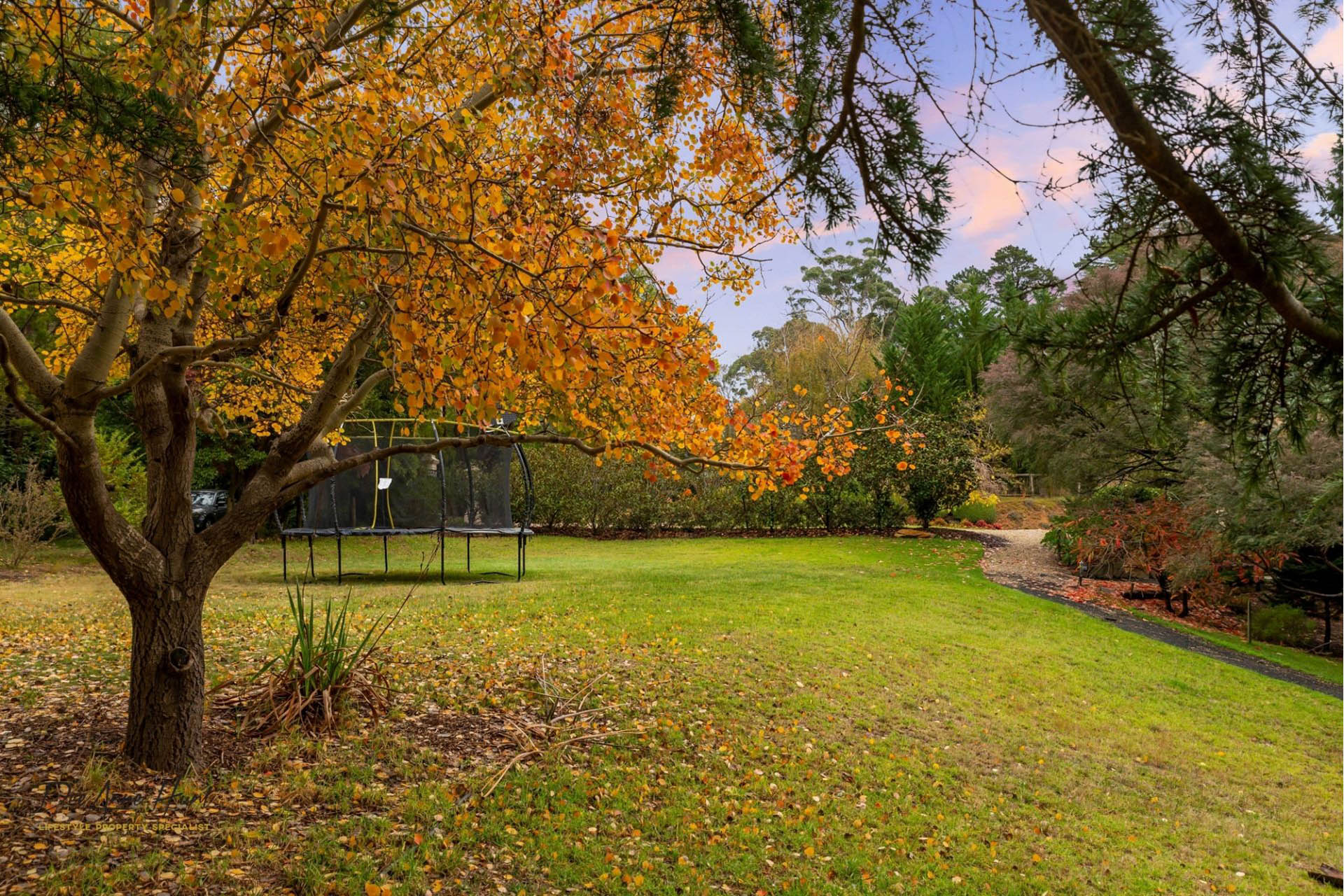 7 St Margaret Drive Stirling DeeAnne Hunt