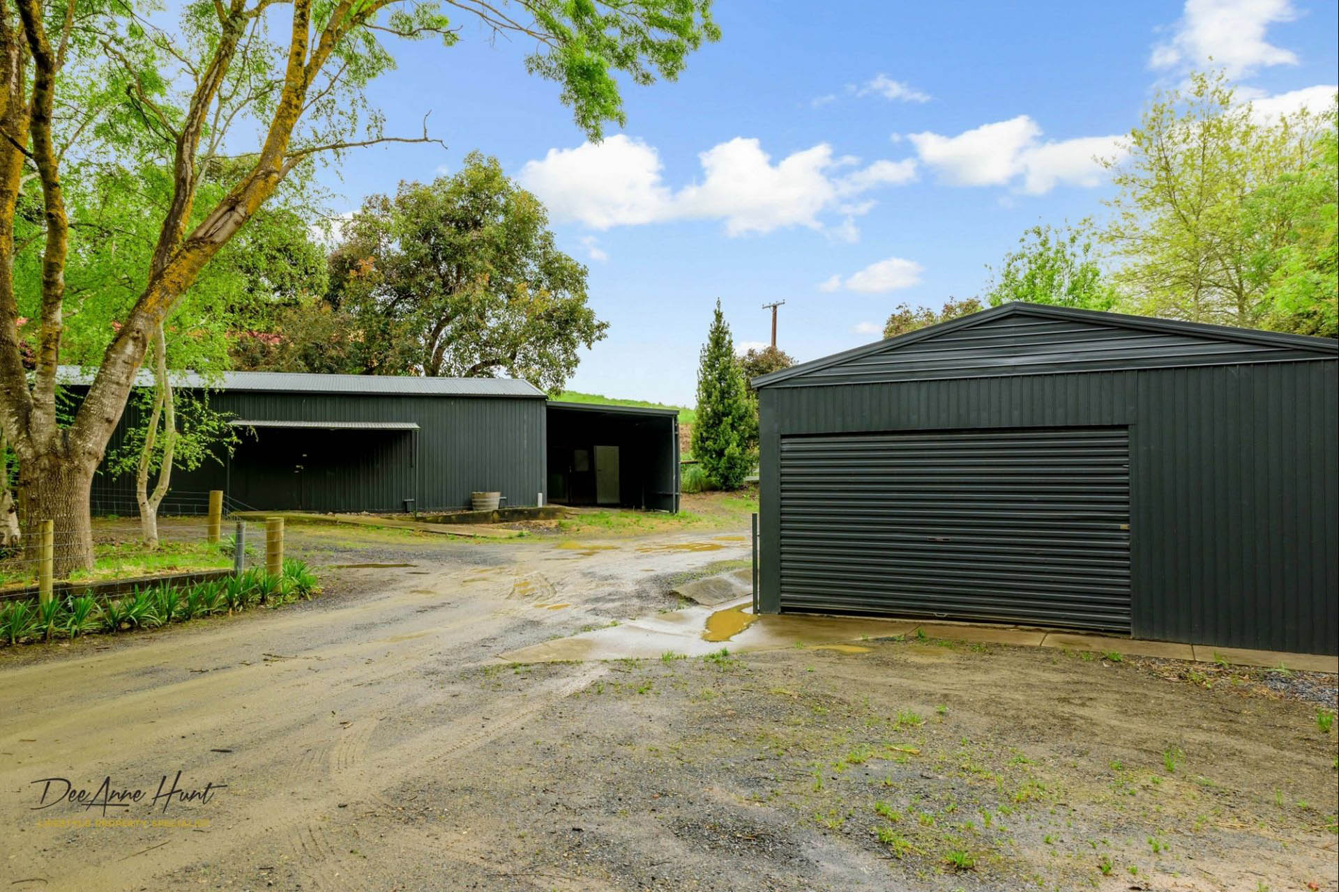 545 Piccadilly Road Summertown DeeAnne Hunt