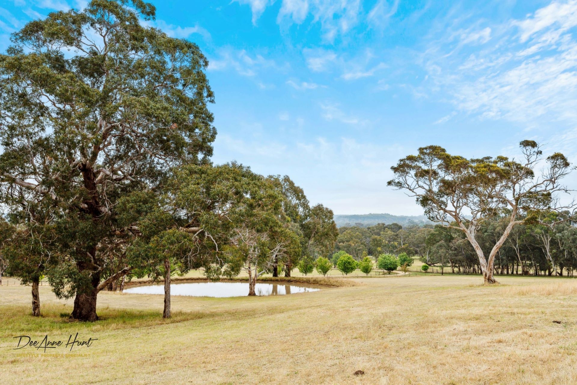 39 Hammersmith Drive Meadows DeeAnne Hunt